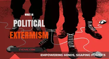 Understanding Political Extremism: Causes, Impact, and Global Implications