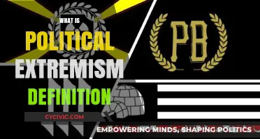Understanding Political Extremism: Definition, Causes, and Societal Impact Explained