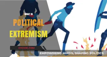 Understanding Political Extremism: Causes, Impact, and Global Implications