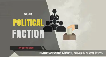 Understanding Political Factions: Their Role, Influence, and Impact on Governance