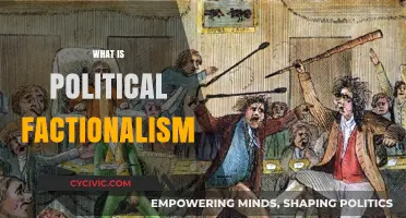 Understanding Political Factionalism: Causes, Consequences, and Real-World Examples