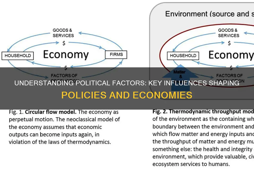 what is political factor