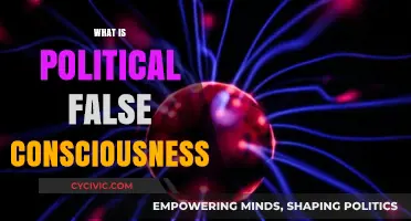 Unveiling Political False Consciousness: Understanding Its Impact on Society