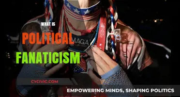 Understanding Political Fanaticism: Causes, Consequences, and Societal Impact