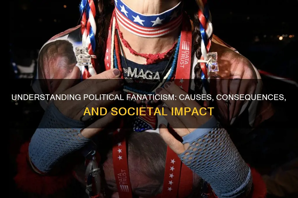 what is political fanaticism