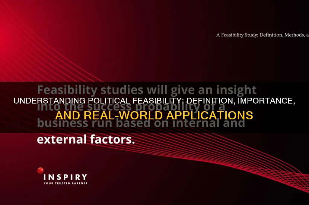 what is political feasibility definition