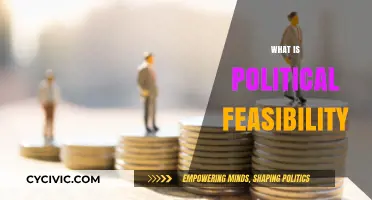 Understanding Political Feasibility: Key Concepts and Real-World Applications