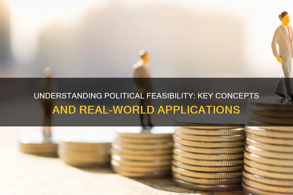 what is political feasibility