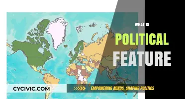 Understanding Political Features: Key Elements Shaping Governance and Society