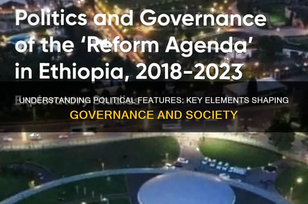 what is political feature