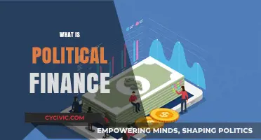 Understanding Political Finance: Funding, Influence, and Democracy Explained