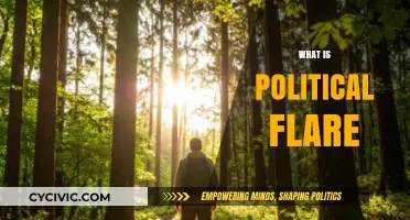 Understanding Political Flare: Its Impact, Causes, and Role in Society
