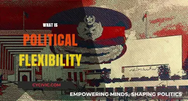 Understanding Political Flexibility: Navigating Ideologies and Compromise in Governance