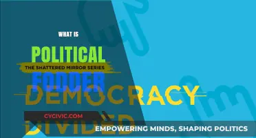 Understanding Political Fodder: Its Role, Impact, and Influence in Politics