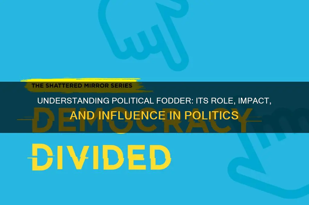 what is political fodder