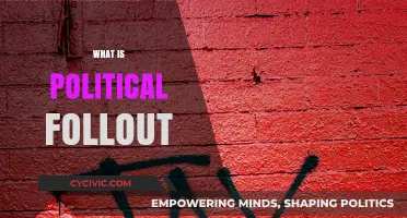 Understanding Political Fallout: Causes, Consequences, and Real-World Implications