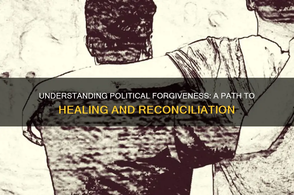 what is political foregivness