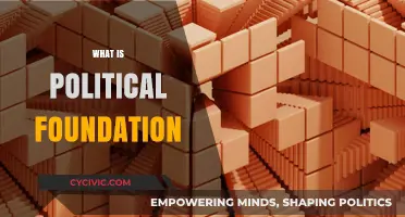 Understanding Political Foundations: Core Principles and Societal Impact Explained