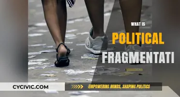 Understanding Political Fragmentation: Causes, Effects, and Global Implications