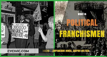 Understanding Political Enfranchisement: Rights, Representation, and Civic Participation Explained