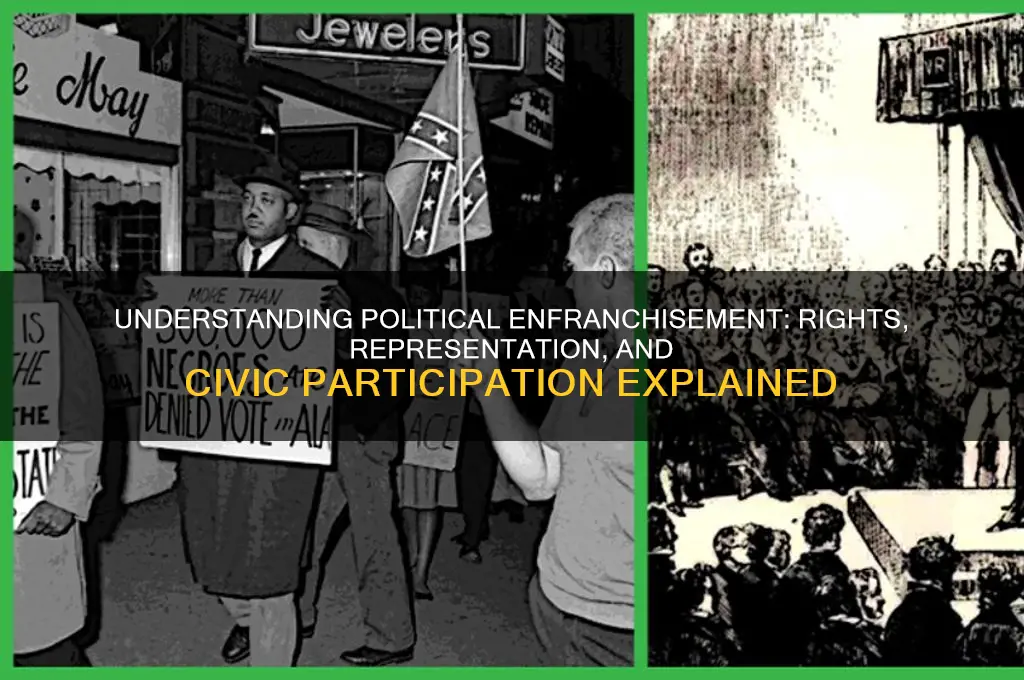 what is political franchisment