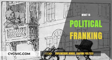 Understanding Political Franking: Privileges, Practices, and Public Implications