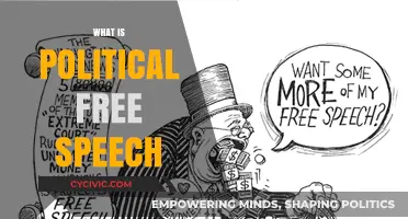 Understanding Political Free Speech: Rights, Limits, and Democratic Significance