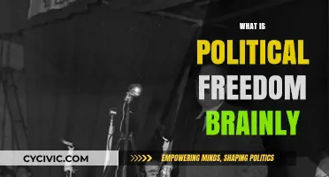 Understanding Political Freedom: Concepts, Importance, and Global Perspectives Explained