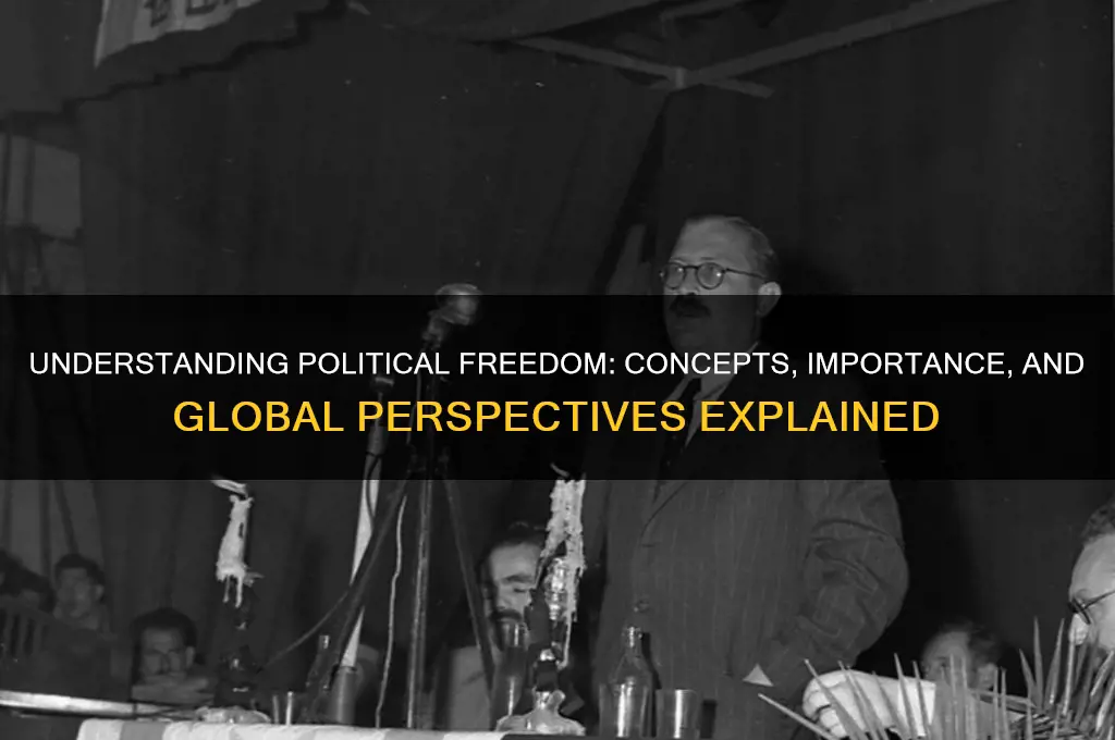 what is political freedom brainly
