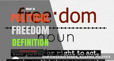 Understanding Political Freedom: Definition, Importance, and Global Perspectives