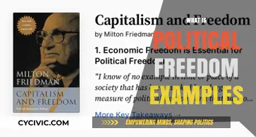 Understanding Political Freedom: Real-World Examples and Key Principles Explained