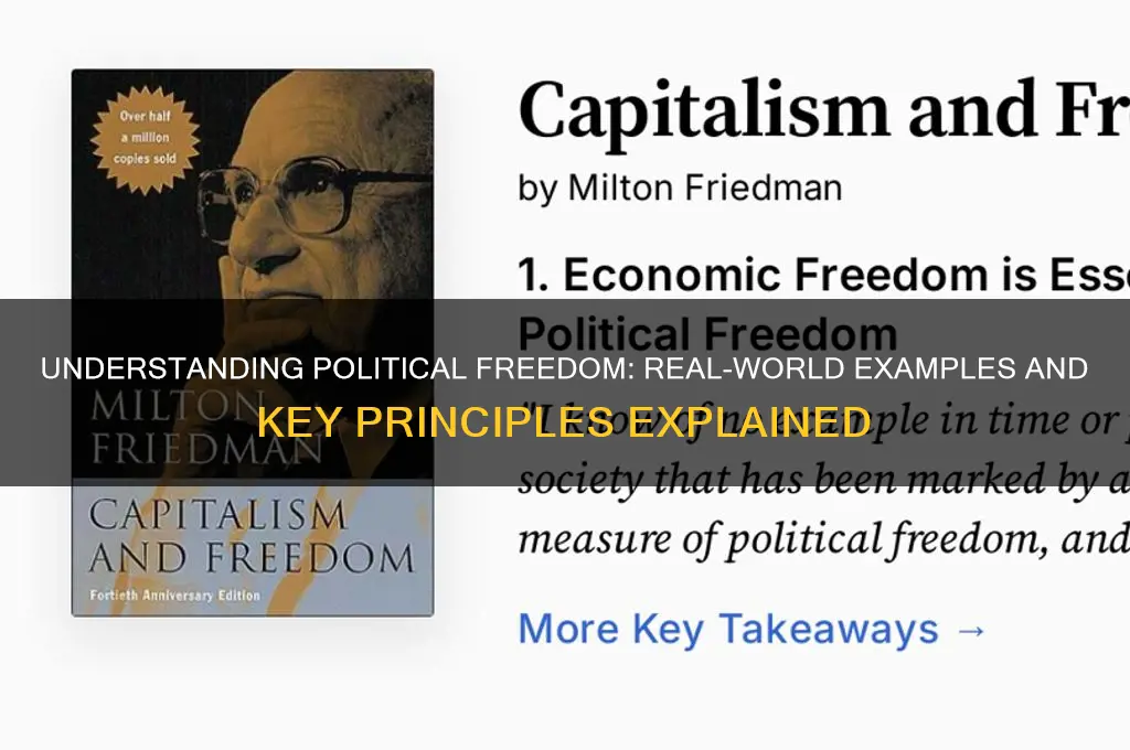what is political freedom examples