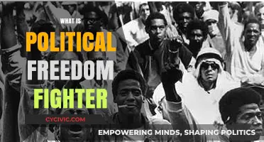 Understanding the Role and Impact of Political Freedom Fighters