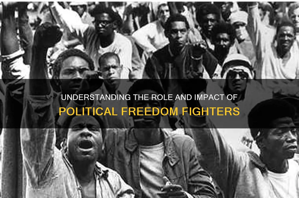 what is political freedom fighter