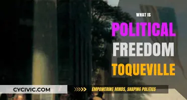 Understanding Political Freedom: Tocqueville's Insights on Democracy and Liberty