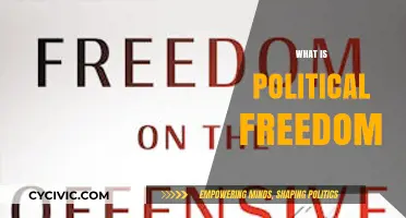 Understanding Political Freedom: Rights, Liberties, and Democratic Empowerment Explained