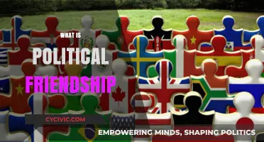 Understanding Political Friendship: Bonds, Alliances, and Strategic Partnerships Explained