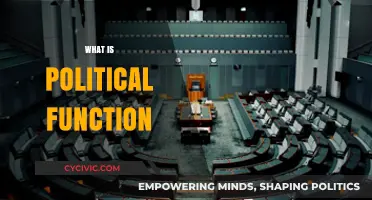 Understanding the Role and Impact of Political Functions in Society