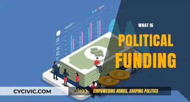 Understanding Political Funding: Sources, Impact, and Transparency Explained