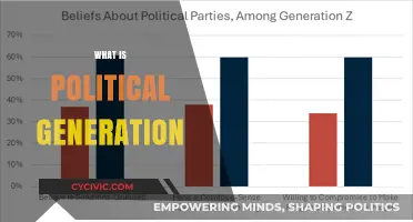 Understanding Political Generations: Shaping Societies, Policies, and Future Leaders