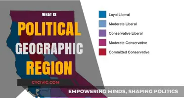Understanding Political Geographic Regions: Boundaries, Identities, and Global Influences