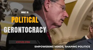 Understanding Political Gerontocracy: Aging Leadership and Its Global Implications