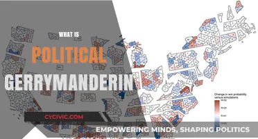 Understanding Political Gerrymandering: Tactics, Impact, and Democratic Consequences