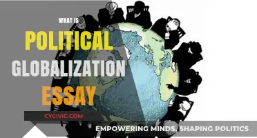 Understanding Political Globalization: A Comprehensive Essay on Its Impact and Evolution