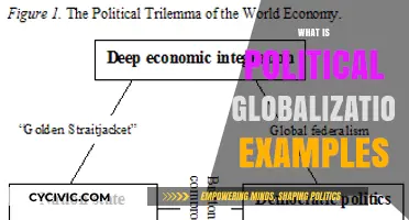 Understanding Political Globalization: Key Examples and Impact Explained