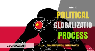 Understanding the Political Globalization Process: Trends, Impacts, and Challenges