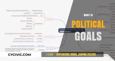 Understanding Political Goals: Objectives, Strategies, and Societal Impact Explained