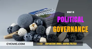 Understanding Political Governance: Structures, Processes, and Societal Impact Explained