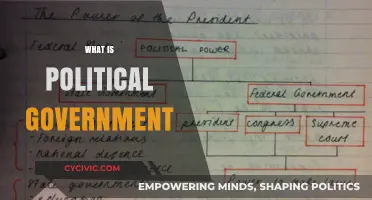 Understanding Political Government: Structure, Functions, and Global Impact Explained