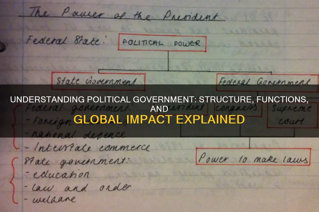 what is political government
